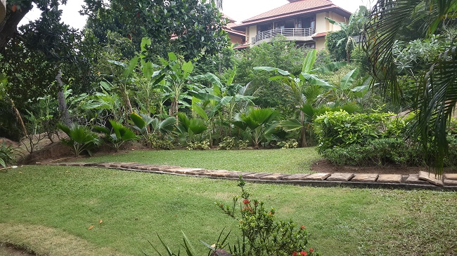 Tropical Garden House - Garden